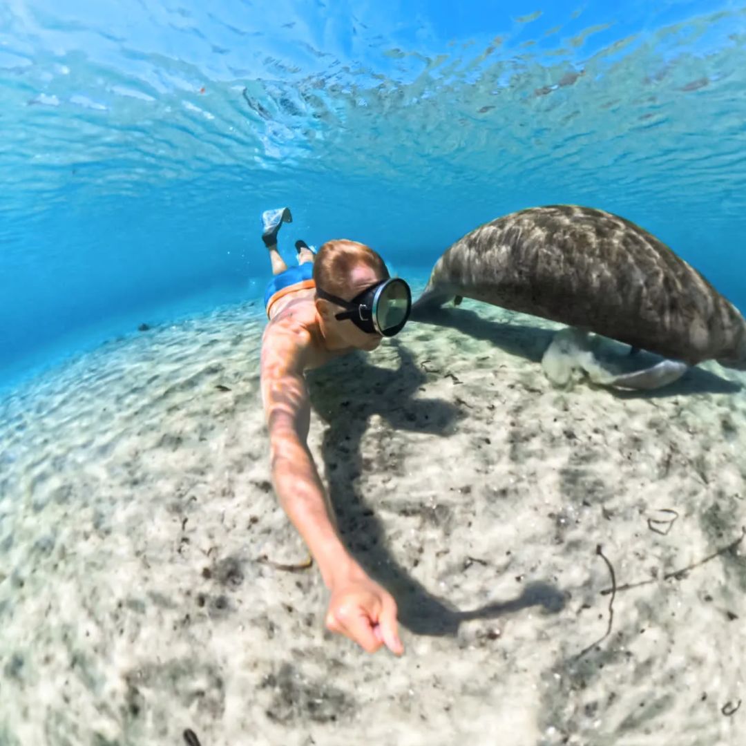 Funda de buceo invisible para insta360 X5 - Skymotion Colombia