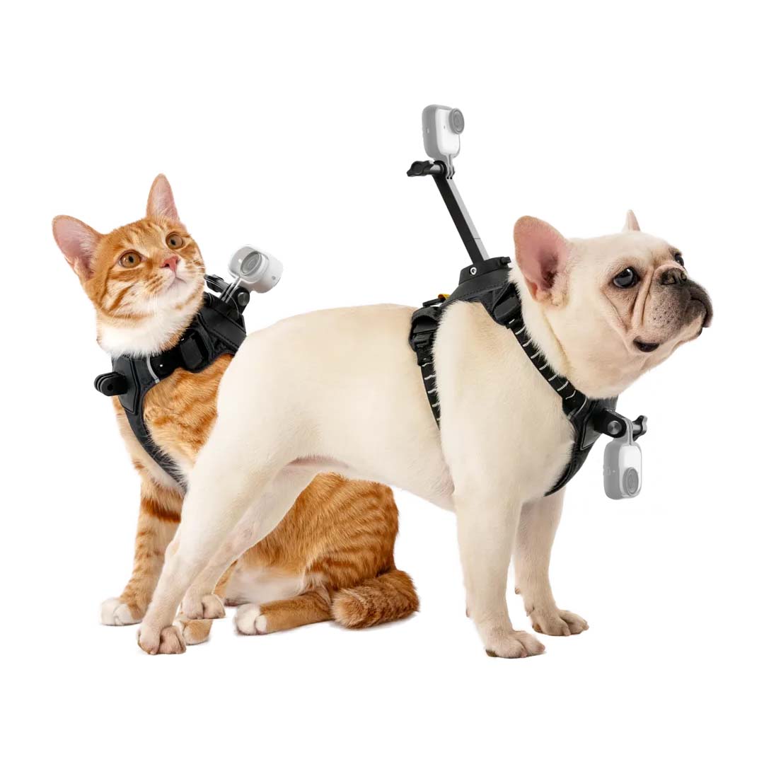 Montura de Arnés para Mascotas Insta360 - Skymotion Colombia