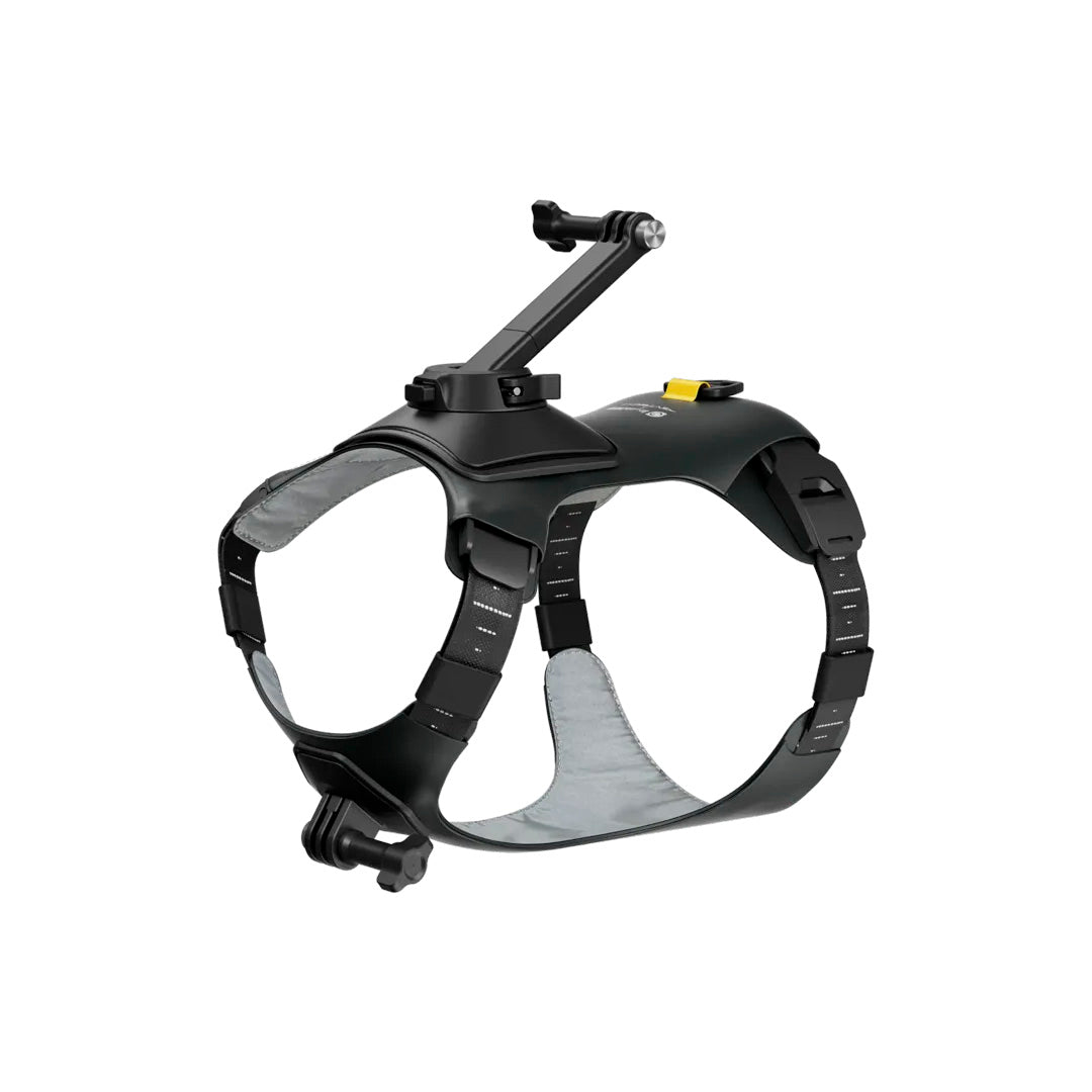 Montura de Arnés para Mascotas Insta360 - Skymotion Colombia