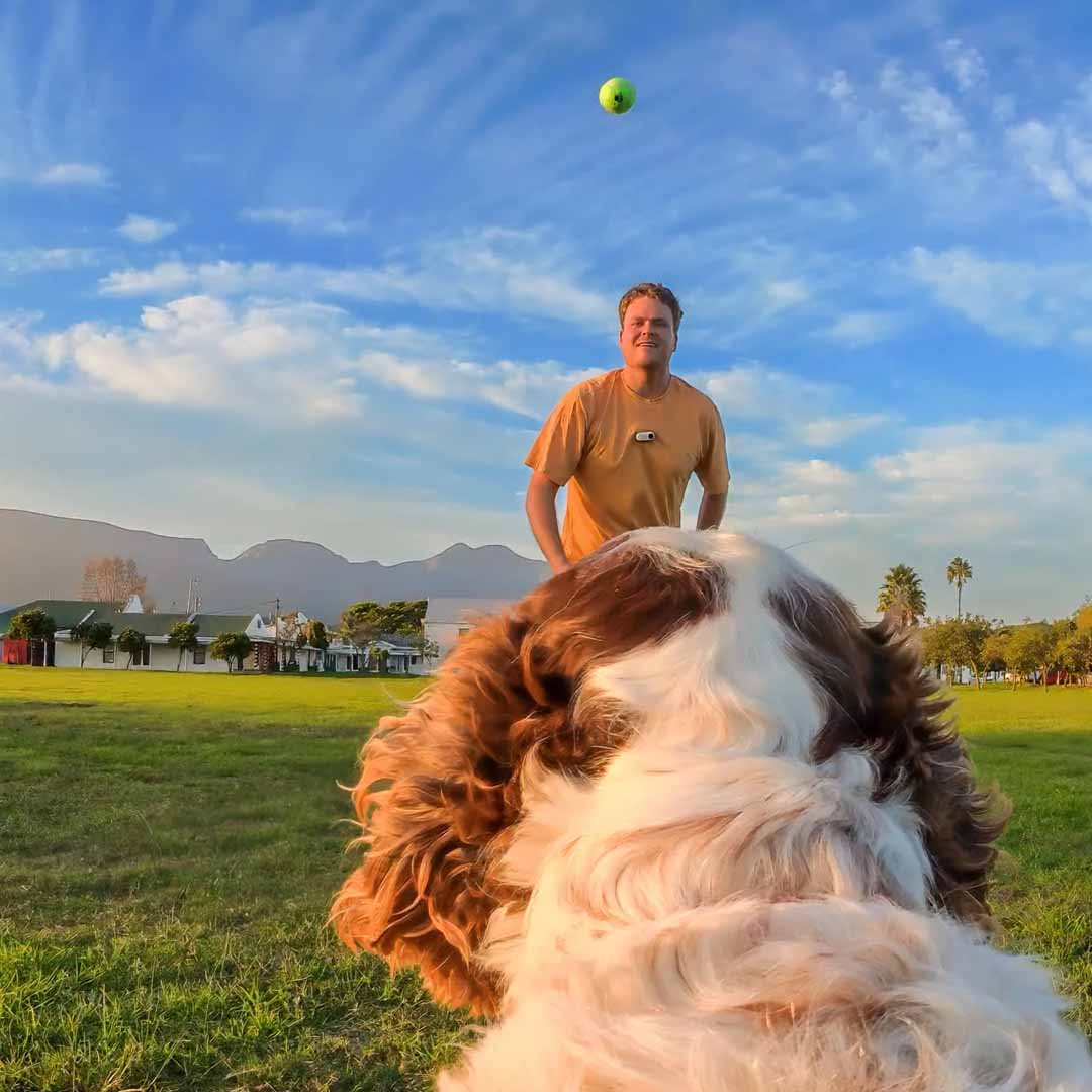 Montura de Arnés para Mascotas Insta360 - Skymotion Colombia