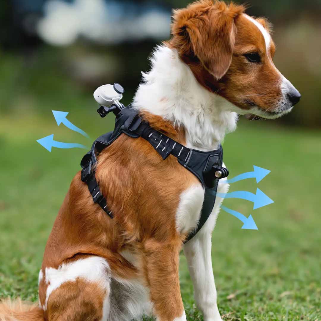 Montura de Arnés para Mascotas Insta360 - Skymotion Colombia