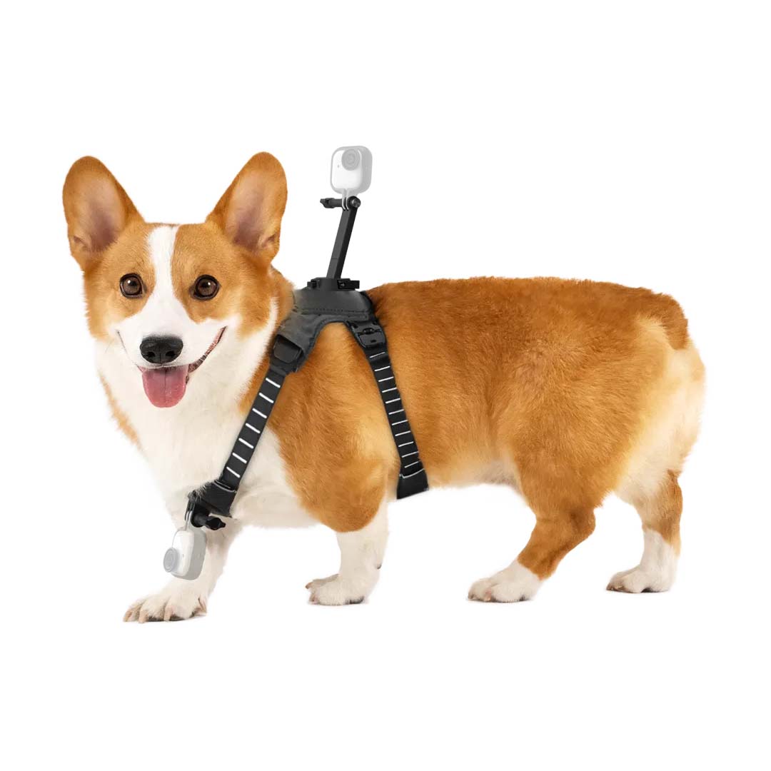 Montura de Arnés para Mascotas Insta360 - Skymotion Colombia
