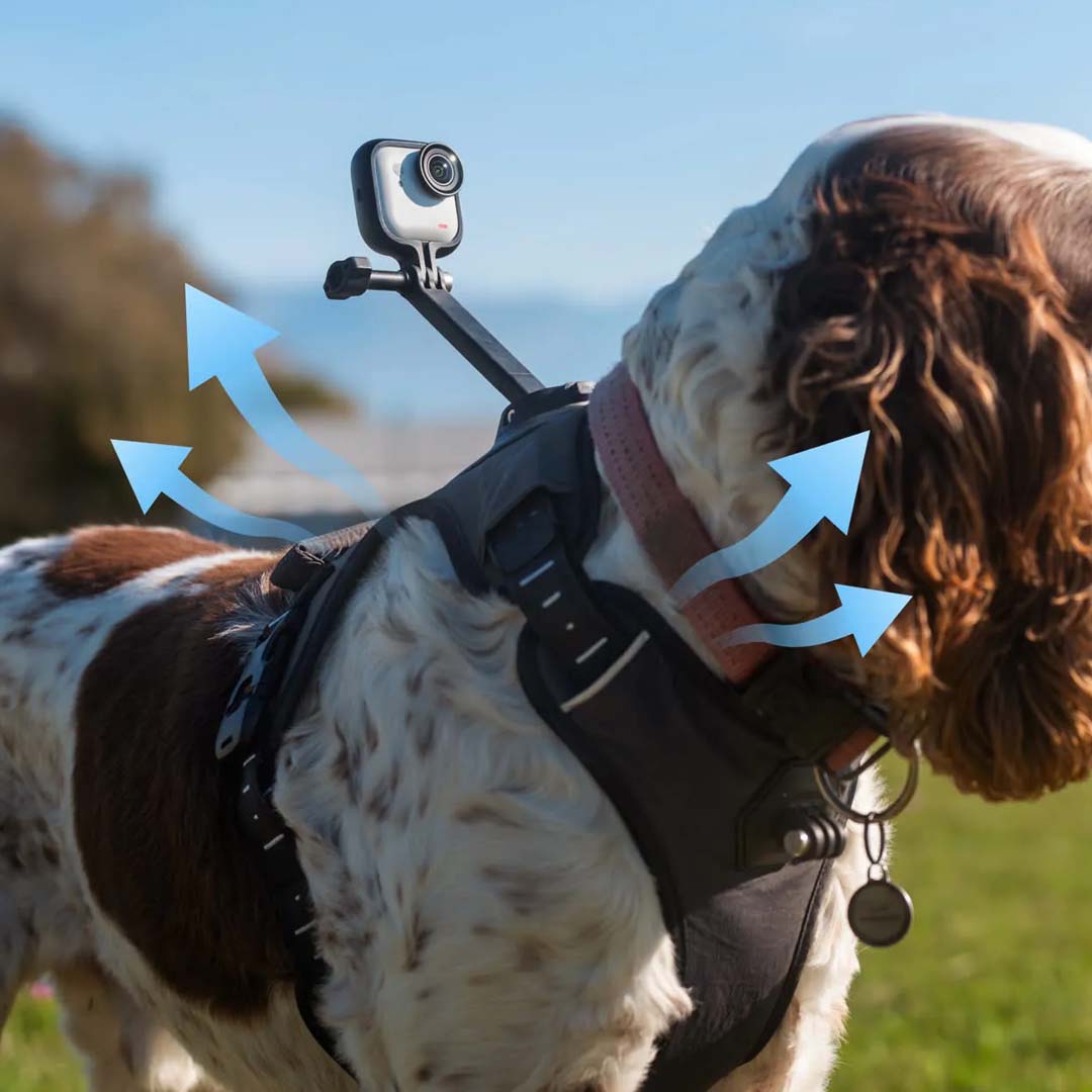 Montura de Arnés para Mascotas Insta360 - Skymotion Colombia