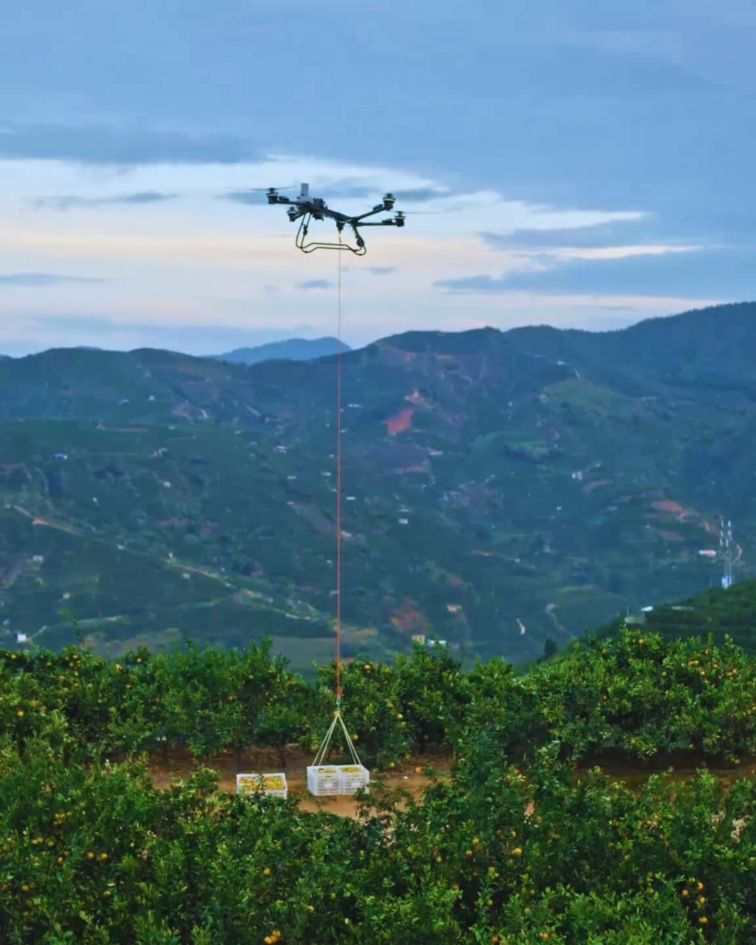 DJI Agras T70P | Dron agrícola profesional de alto rendimiento | Combo